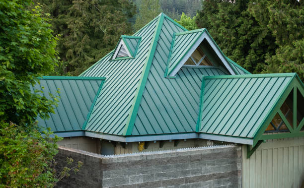 Best Roof Insulation Installation  in Alanes Ridge, CA